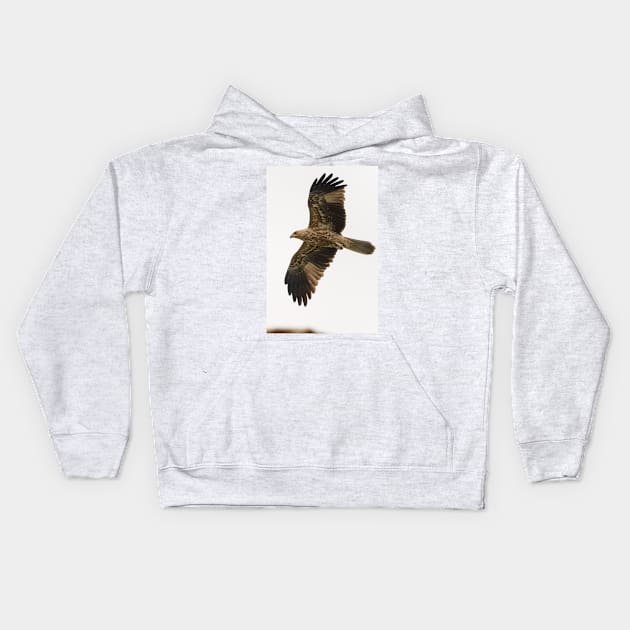 Whistling Kite 06 Kids Hoodie by fotoWerner